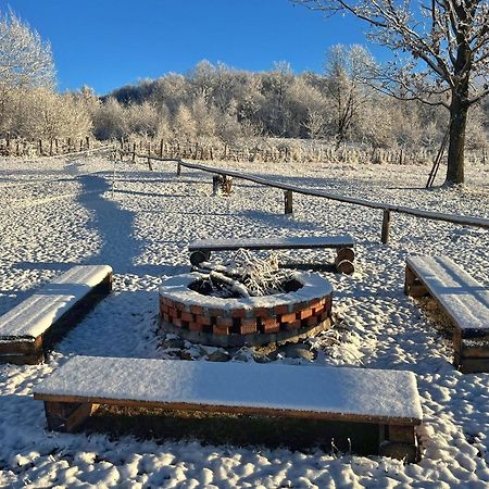 Casuta Din Stejari-Transalpina Villa Novaci-Străini Kültér fotó