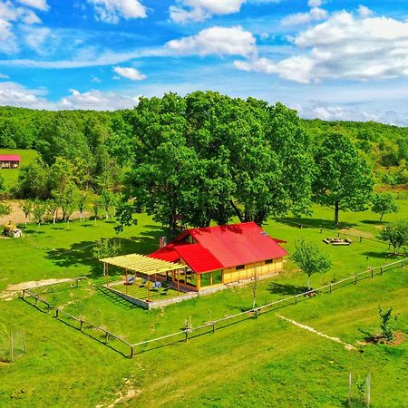 Casuta Din Stejari-Transalpina Villa Novaci-Străini Kültér fotó