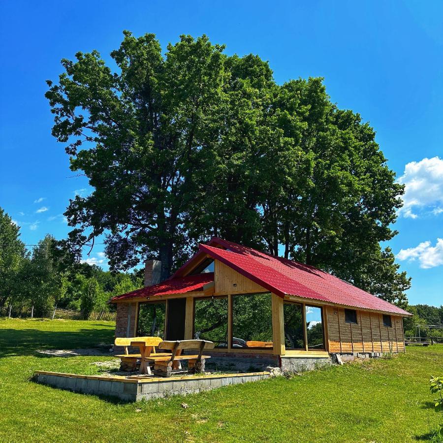 Casuta Din Stejari-Transalpina Villa Novaci-Străini Kültér fotó