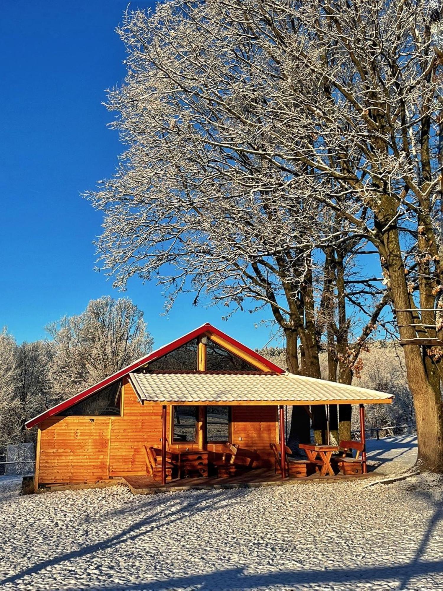 Casuta Din Stejari-Transalpina Villa Novaci-Străini Kültér fotó